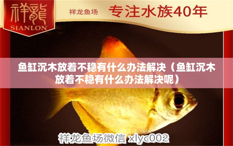 魚缸沉木放著不穩(wěn)有什么辦法解決（魚缸沉木放著不穩(wěn)有什么辦法解決呢） 其他品牌魚缸