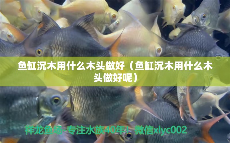 魚缸沉木用什么木頭做好（魚缸沉木用什么木頭做好呢）