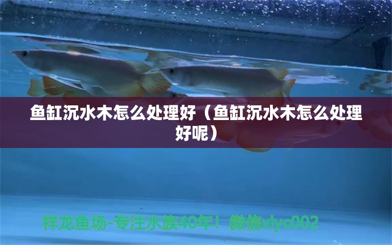 魚缸沉水木怎么處理好（魚缸沉水木怎么處理好呢）