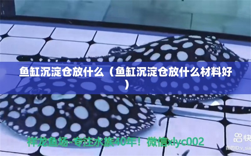 魚缸沉淀倉放什么（魚缸沉淀倉放什么材料好） 三間鼠魚