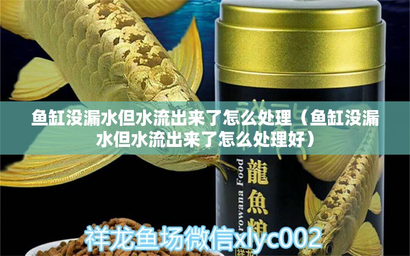 魚缸沒漏水但水流出來了怎么處理（魚缸沒漏水但水流出來了怎么處理好） 祥龍水族醫(yī)院