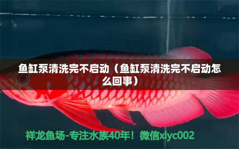 魚(yú)缸泵清洗完不啟動(dòng)（魚(yú)缸泵清洗完不啟動(dòng)怎么回事） 其他品牌魚(yú)缸