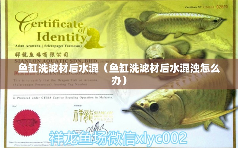 魚缸洗濾材后水混（魚缸洗濾材后水混濁怎么辦）