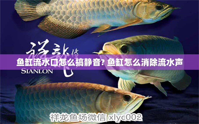 魚缸流水口怎么搞靜音? 魚缸怎么消除流水聲