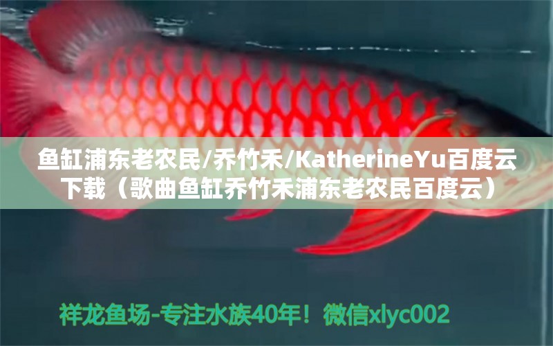 魚缸浦東老農民/喬竹禾/KatherineYu百度云下載（歌曲魚缸喬竹禾浦東老農民百度云）