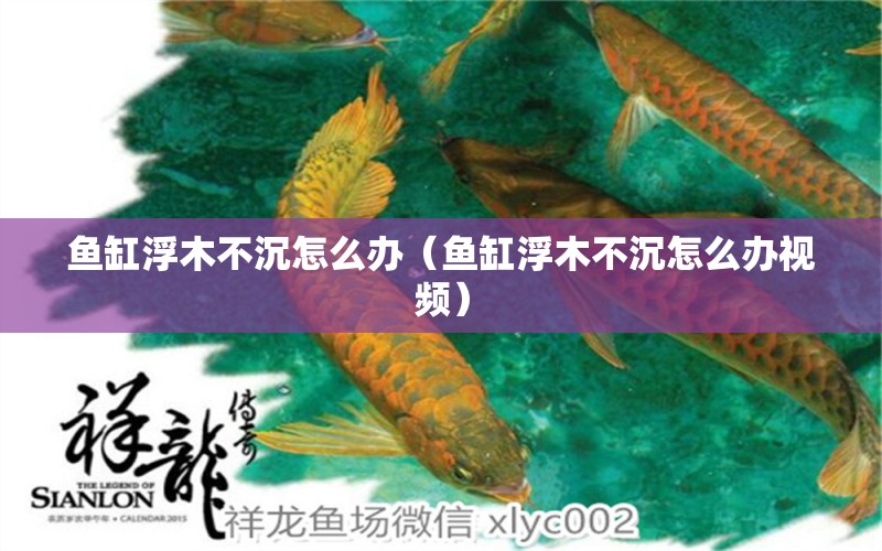 魚缸浮木不沉怎么辦（魚缸浮木不沉怎么辦視頻） 其他品牌魚缸