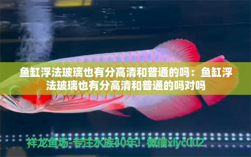 魚缸浮法玻璃也有分高清和普通的嗎：魚缸浮法玻璃也有分高清和普通的嗎對嗎 觀賞魚市場（混養(yǎng)魚）