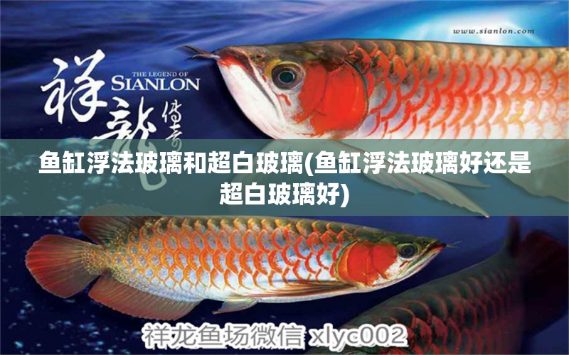 魚缸浮法玻璃和超白玻璃(魚缸浮法玻璃好還是超白玻璃好) 觀賞魚市場（混養(yǎng)魚）