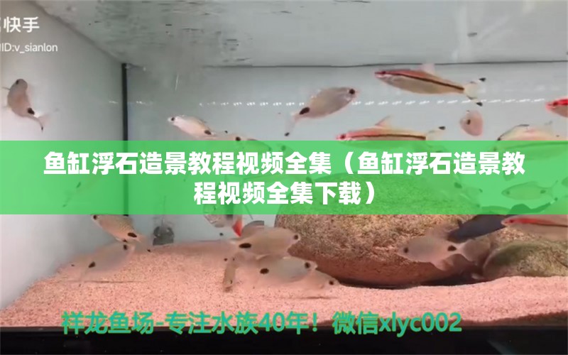 魚缸浮石造景教程視頻全集（魚缸浮石造景教程視頻全集下載）