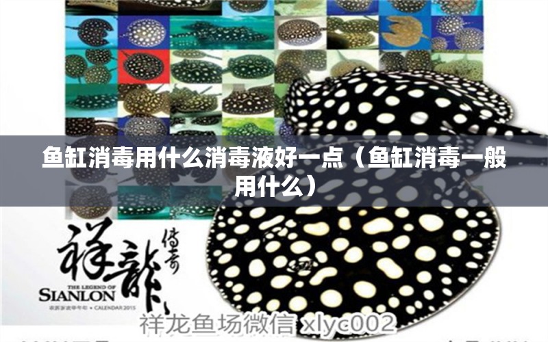 魚缸消毒用什么消毒液好一點（魚缸消毒一般用什么） 廣州觀賞魚批發(fā)市場