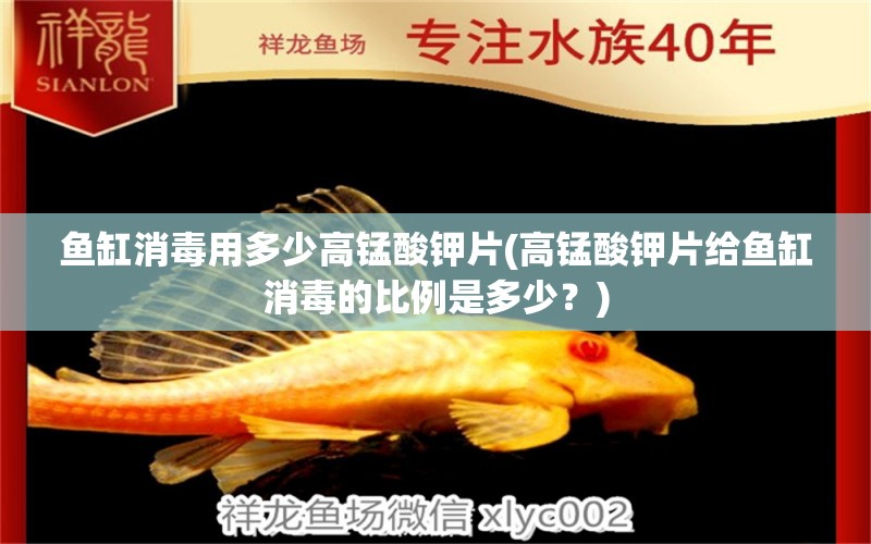 魚缸消毒用多少高錳酸鉀片(高錳酸鉀片給魚缸消毒的比例是多少？) 過背金龍魚