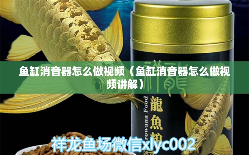 魚缸消音器怎么做視頻（魚缸消音器怎么做視頻講解） 皇冠黑白魟魚