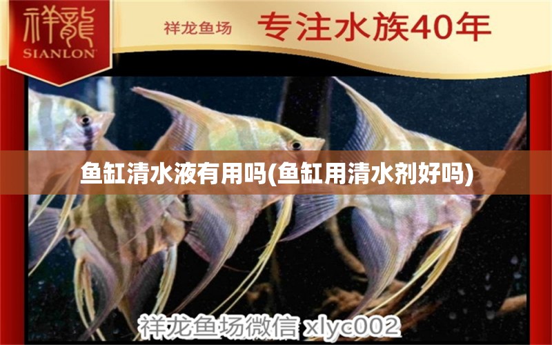 魚(yú)缸清水液有用嗎(魚(yú)缸用清水劑好嗎) 森森魚(yú)缸