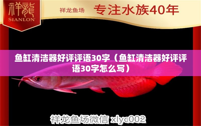 魚缸清潔器好評評語30字（魚缸清潔器好評評語30字怎么寫）