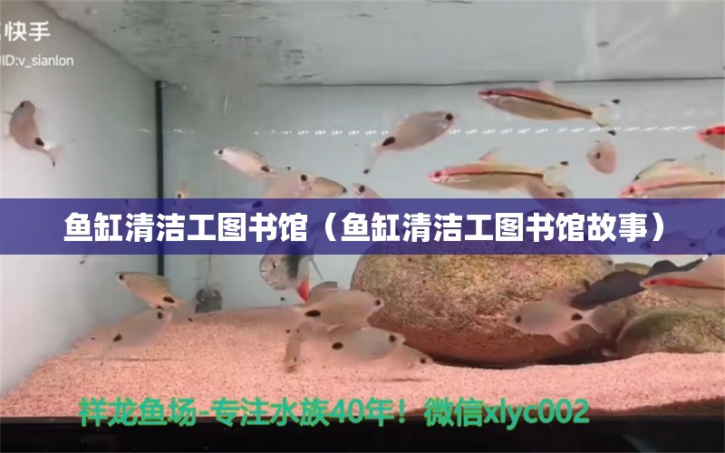 魚缸清潔工圖書館（魚缸清潔工圖書館故事） 黃吉金龍（白子金龍魚）