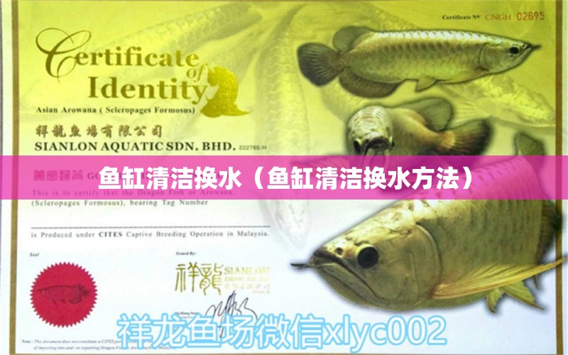 魚缸清潔換水（魚缸清潔換水方法） 青龍魚