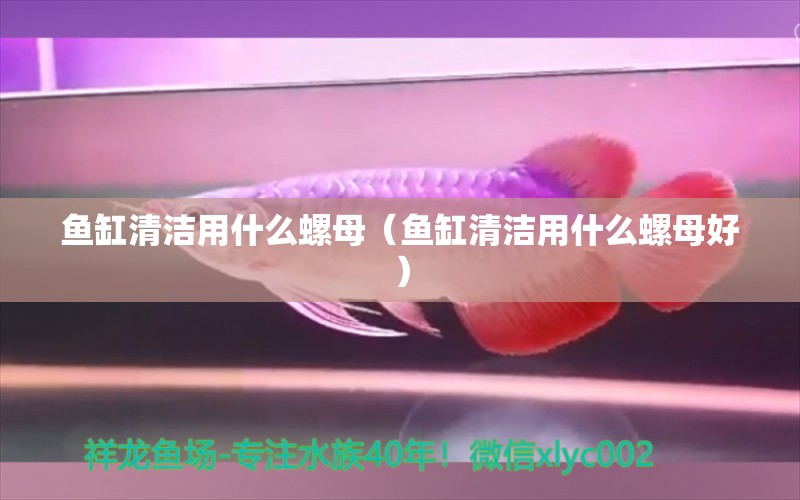 魚缸清潔用什么螺母（魚缸清潔用什么螺母好）