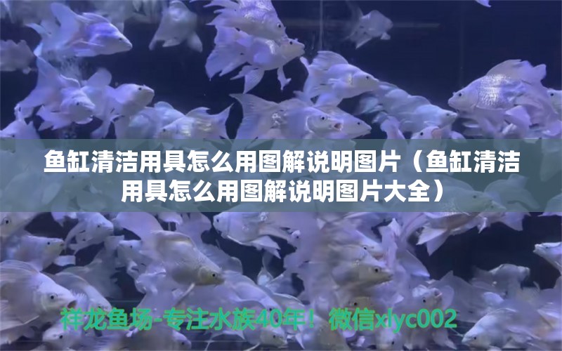 魚缸清潔用具怎么用圖解說明圖片（魚缸清潔用具怎么用圖解說明圖片大全） 金三間魚