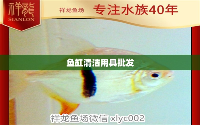 魚缸清潔用具批發(fā) 觀賞魚批發(fā)