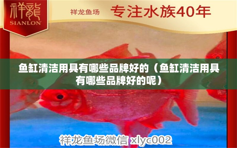 魚缸清潔用具有哪些品牌好的（魚缸清潔用具有哪些品牌好的呢）