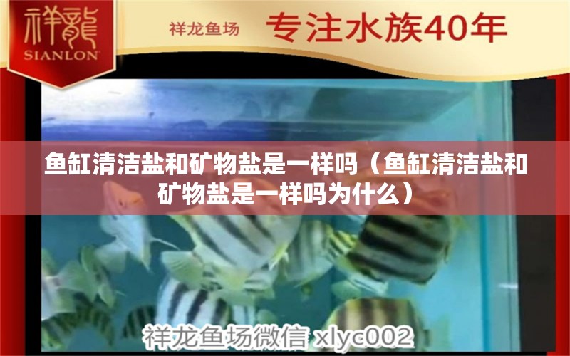 魚缸清潔鹽和礦物鹽是一樣嗎（魚缸清潔鹽和礦物鹽是一樣嗎為什么） 觀賞魚市場（混養(yǎng)魚）