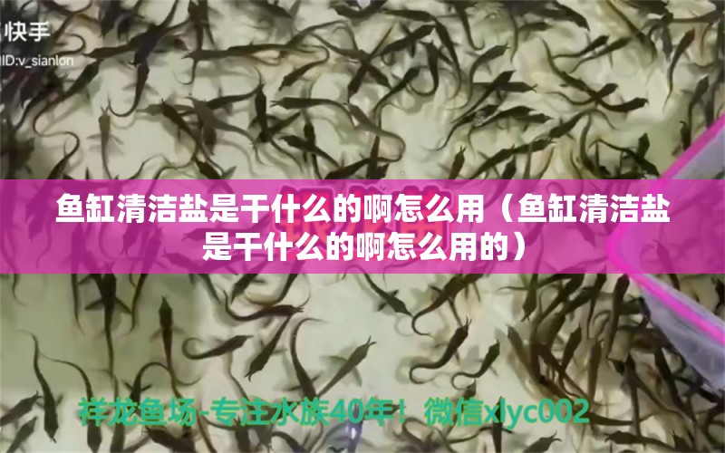 魚缸清潔鹽是干什么的啊怎么用（魚缸清潔鹽是干什么的啊怎么用的） 量子養(yǎng)魚技術