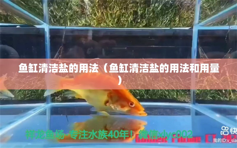 魚缸清潔鹽的用法（魚缸清潔鹽的用法和用量）