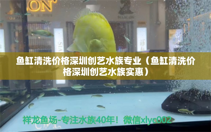 魚缸清洗價格深圳創(chuàng)藝水族專業(yè)（魚缸清洗價格深圳創(chuàng)藝水族實惠） 祥龍水族醫(yī)院