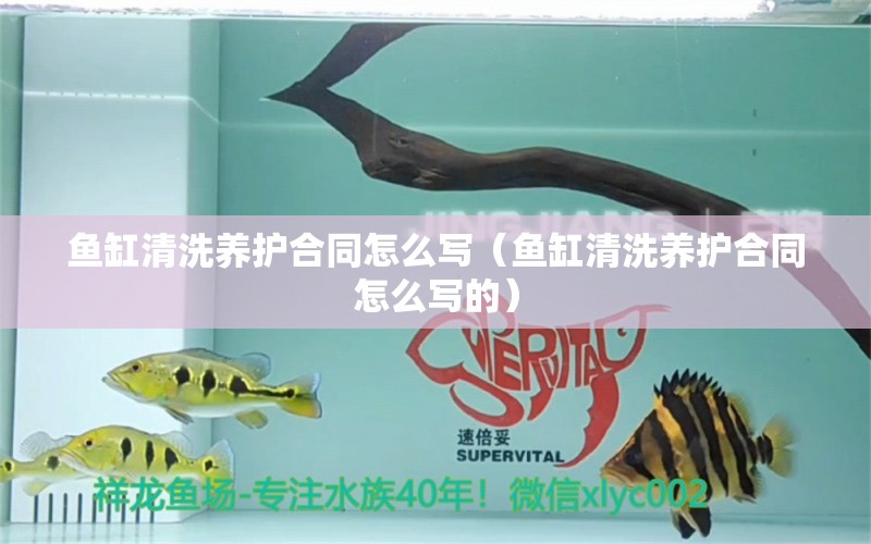 魚(yú)缸清洗養(yǎng)護(hù)合同怎么寫(xiě)（魚(yú)缸清洗養(yǎng)護(hù)合同怎么寫(xiě)的） 委內(nèi)瑞拉奧里諾三間魚(yú)