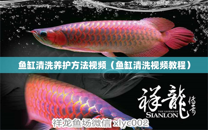 魚缸清洗養(yǎng)護方法視頻（魚缸清洗視頻教程）