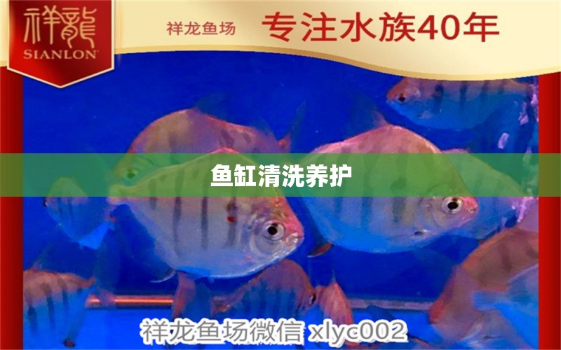 魚缸清洗養(yǎng)護 祥龍魚場