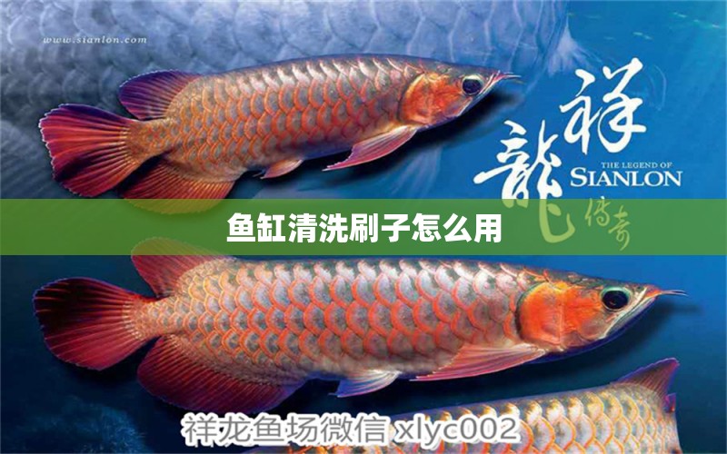 魚缸清洗刷子怎么用