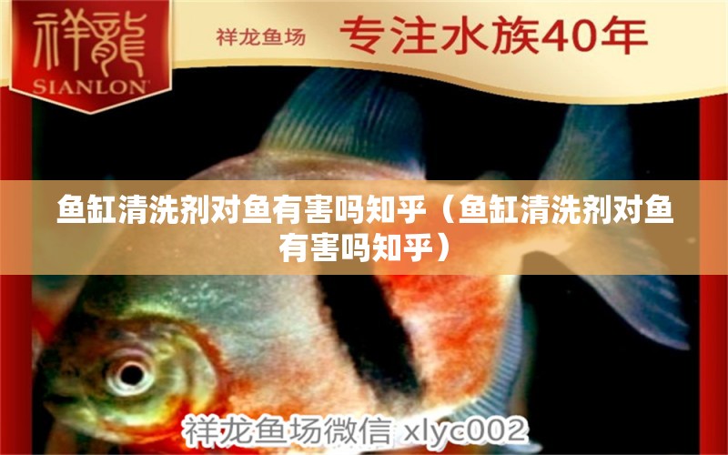 魚缸清洗劑對魚有害嗎知乎（魚缸清洗劑對魚有害嗎知乎）