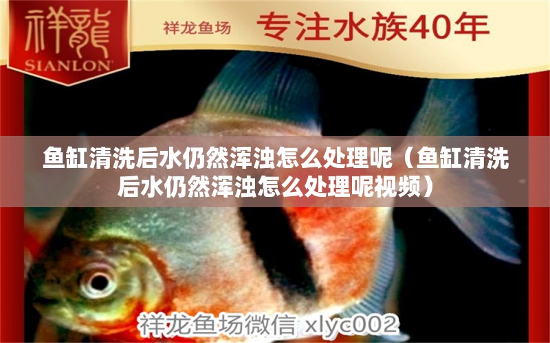 魚缸清洗后水仍然渾濁怎么處理呢（魚缸清洗后水仍然渾濁怎么處理呢視頻）