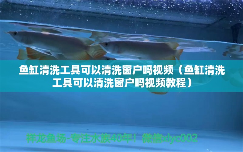 魚缸清洗工具可以清洗窗戶嗎視頻（魚缸清洗工具可以清洗窗戶嗎視頻教程）