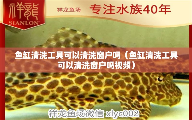 魚缸清洗工具可以清洗窗戶嗎（魚缸清洗工具可以清洗窗戶嗎視頻）