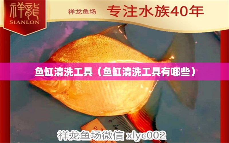 魚缸清洗工具（魚缸清洗工具有哪些）