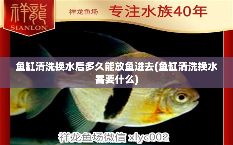 魚缸清洗換水后多久能放魚進(jìn)去(魚缸清洗換水需要什么) 紅白錦鯉魚