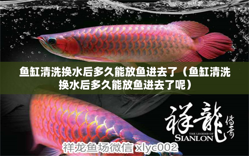 魚缸清洗換水后多久能放魚進(jìn)去了（魚缸清洗換水后多久能放魚進(jìn)去了呢） 其他益生菌