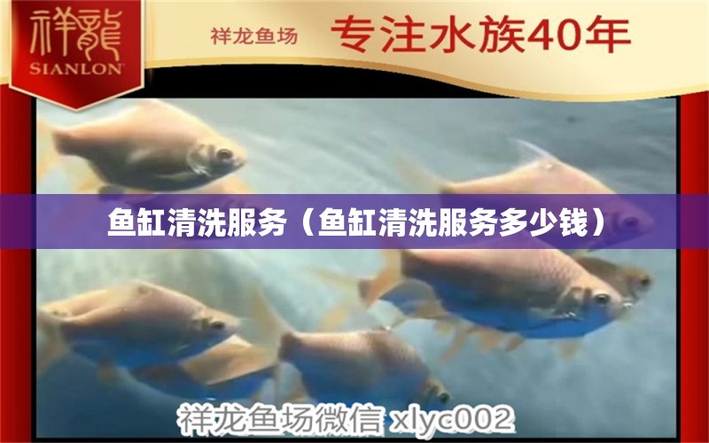 魚缸清洗服務(wù)（魚缸清洗服務(wù)多少錢） 其他品牌魚缸