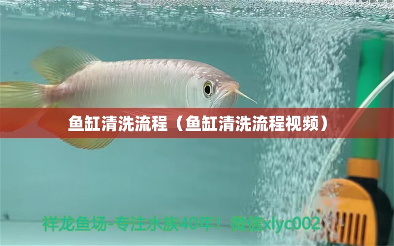 魚缸清洗流程（魚缸清洗流程視頻） 海水魚 第1張