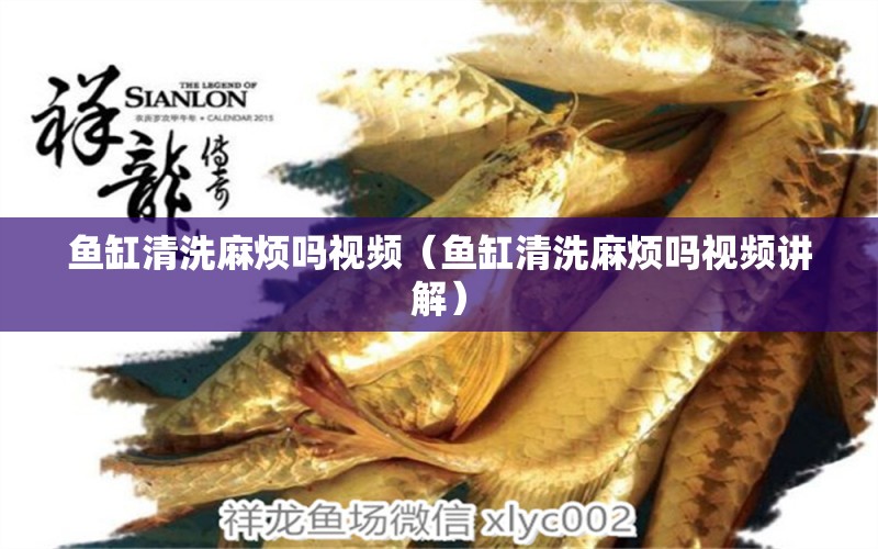 魚缸清洗麻煩嗎視頻（魚缸清洗麻煩嗎視頻講解） 帝王血鉆魚