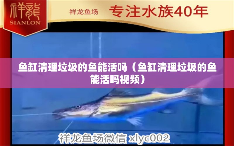 魚(yú)缸清理垃圾的魚(yú)能活嗎（魚(yú)缸清理垃圾的魚(yú)能活嗎視頻）