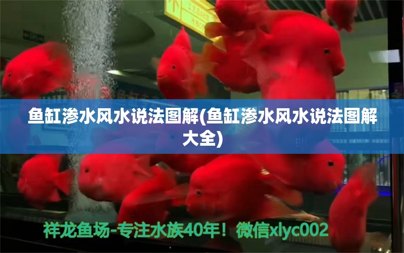 魚缸滲水風(fēng)水說法圖解(魚缸滲水風(fēng)水說法圖解大全)