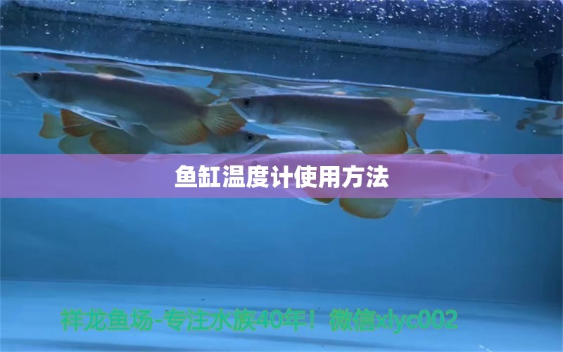 魚缸溫度計使用方法