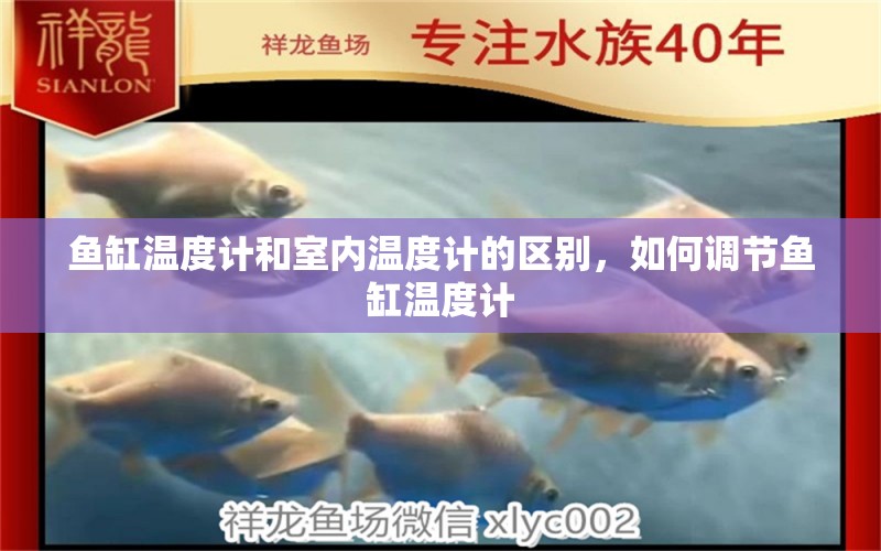 魚缸溫度計和室內(nèi)溫度計的區(qū)別，如何調(diào)節(jié)魚缸溫度計