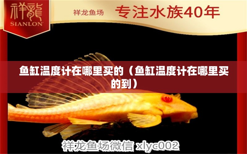 魚缸溫度計在哪里買的（魚缸溫度計在哪里買的到） 觀賞魚市場（混養(yǎng)魚）