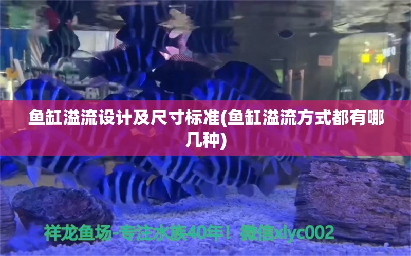 魚缸溢流設(shè)計及尺寸標準(魚缸溢流方式都有哪幾種) 赤焰中國虎魚