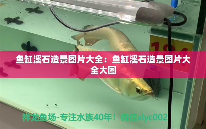 魚缸溪石造景圖片大全：魚缸溪石造景圖片大全大圖 觀賞魚市場（混養(yǎng)魚）