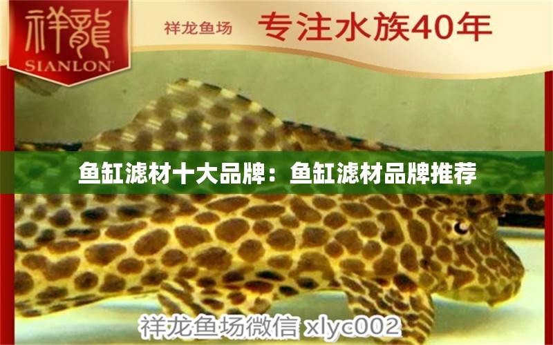 魚缸濾材十大品牌：魚缸濾材品牌推薦